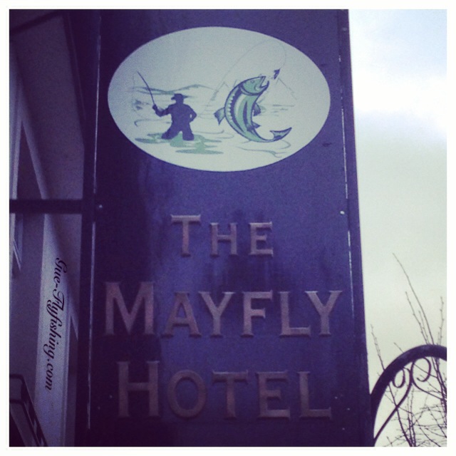 Ob "Mayfly Hotel" oder ...